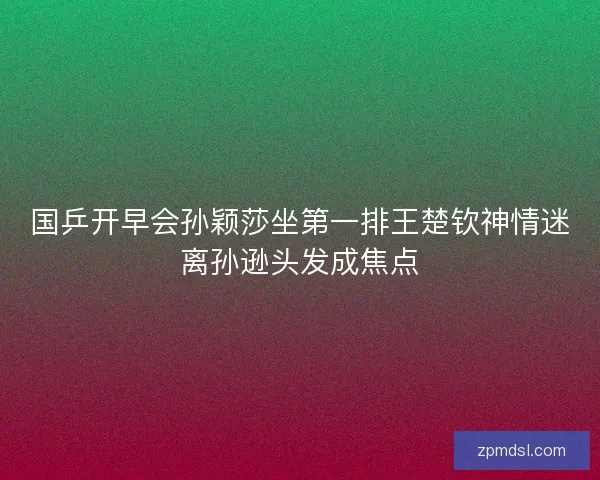 国乒开早会孙颖莎坐第一排王楚钦神情迷离孙逊头发成焦点 国乒开早会孙颖莎坐第一排王楚钦神情迷离孙逊头发成焦点